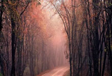 老板油烟机服务热线全天候分解—油烟机滤网更换教程：轻松掌握清洁小技巧